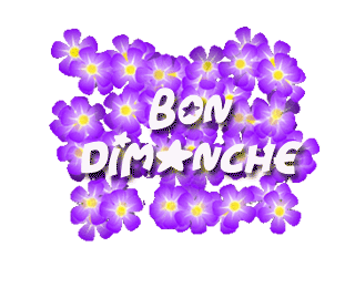 Gif Bon dimanche fleurs